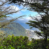 Cape Perpetua